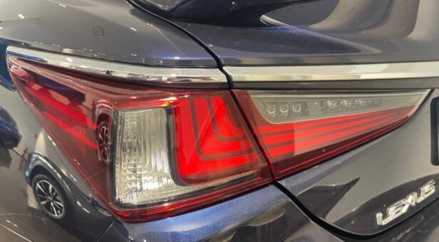 LEXUS LEXUS LEXUS ES300h