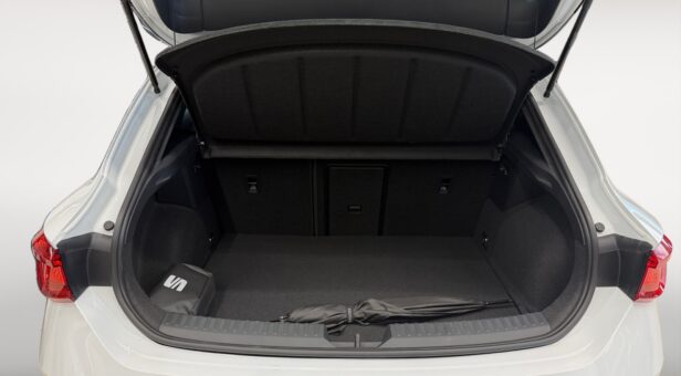 SEAT LEON 1.5 E-HYBRID 150 KW (204 cv) DSG FR XXL E-HYBRID