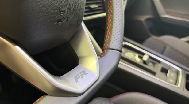 SEAT LEON 1.5 E-HYBRID 150 KW (204 cv) DSG FR XXL E-HYBRID