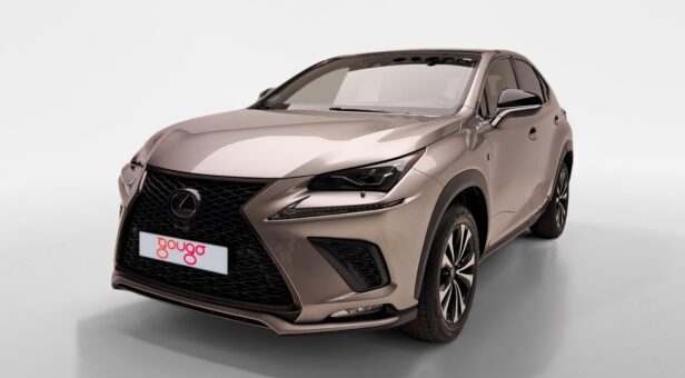 LEXUS NX TODOTERRENO 2.5 300H F SPORT PANORAMIC 4WD AUT 197 5p