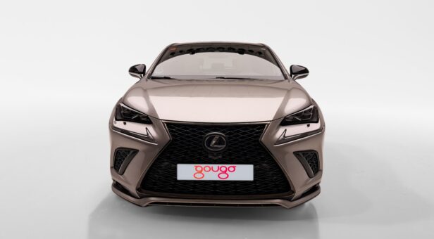 LEXUS NX TODOTERRENO 2.5 300H F SPORT PANORAMIC 4WD AUT 197 5p