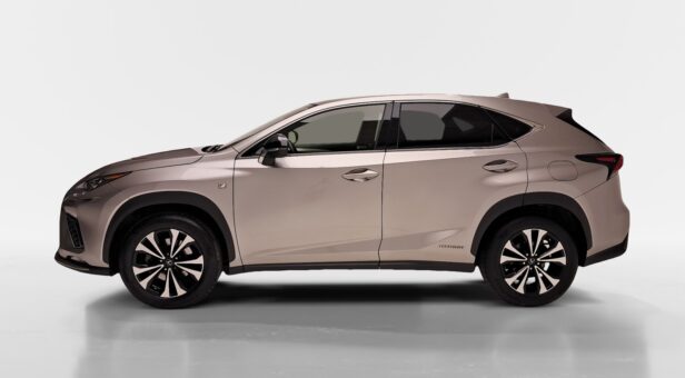 LEXUS NX TODOTERRENO 2.5 300H F SPORT PANORAMIC 4WD AUT 197 5p