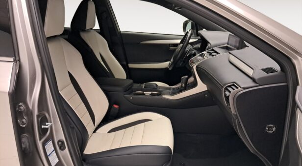 LEXUS NX TODOTERRENO 2.5 300H F SPORT PANORAMIC 4WD AUT 197 5p