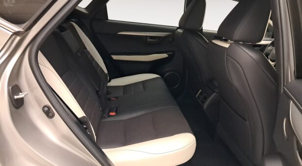 LEXUS NX TODOTERRENO 2.5 300H F SPORT PANORAMIC 4WD AUT 197 5p