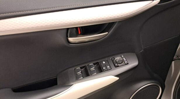 LEXUS NX TODOTERRENO 2.5 300H F SPORT PANORAMIC 4WD AUT 197 5p