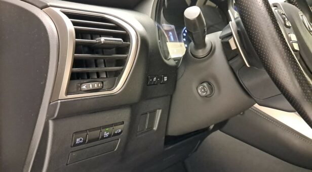LEXUS NX TODOTERRENO 2.5 300H F SPORT PANORAMIC 4WD AUT 197 5p