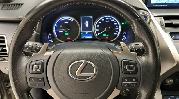 LEXUS NX TODOTERRENO 2.5 300H F SPORT PANORAMIC 4WD AUT 197 5p