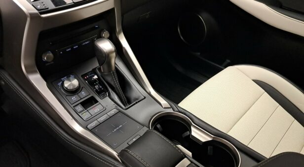 LEXUS NX TODOTERRENO 2.5 300H F SPORT PANORAMIC 4WD AUT 197 5p