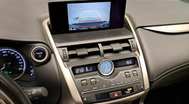 LEXUS NX TODOTERRENO 2.5 300H F SPORT PANORAMIC 4WD AUT 197 5p