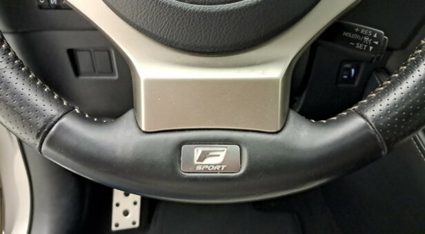 LEXUS NX TODOTERRENO 2.5 300H F SPORT PANORAMIC 4WD AUT 197 5p