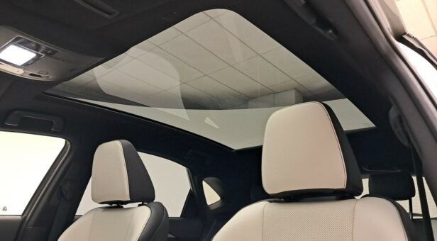 LEXUS NX TODOTERRENO 2.5 300H F SPORT PANORAMIC 4WD AUT 197 5p