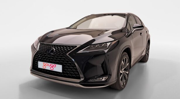 LEXUS RX 450h EXECUTIVE AUTO 3.5cc 313cv 5P LEXUS RX 450h EXECUTIVE AUTO 3.5cc 313cv 5P