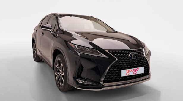 LEXUS RX 450h EXECUTIVE AUTO 3.5cc 313cv 5P LEXUS RX 450h EXECUTIVE AUTO 3.5cc 313cv 5P