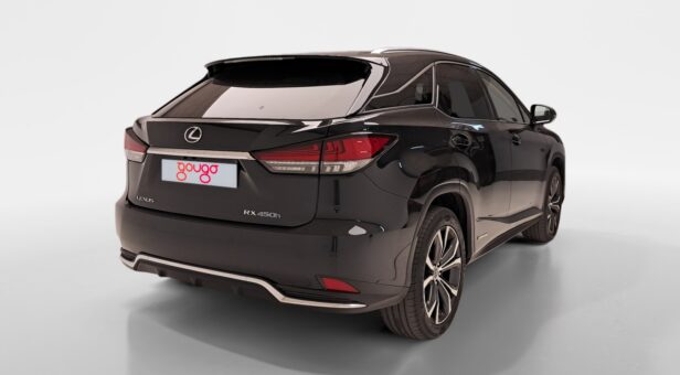 LEXUS RX 450h EXECUTIVE AUTO 3.5cc 313cv 5P LEXUS RX 450h EXECUTIVE AUTO 3.5cc 313cv 5P