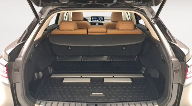 LEXUS RX 450h EXECUTIVE AUTO 3.5cc 313cv 5P LEXUS RX 450h EXECUTIVE AUTO 3.5cc 313cv 5P