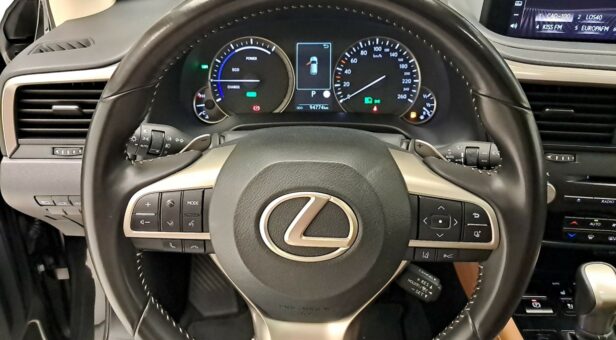LEXUS RX 450h EXECUTIVE AUTO 3.5cc 313cv 5P LEXUS RX 450h EXECUTIVE AUTO 3.5cc 313cv 5P