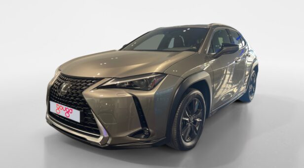 LEXUS UX HIBRIDO UX 250h 2WD BUSINESS