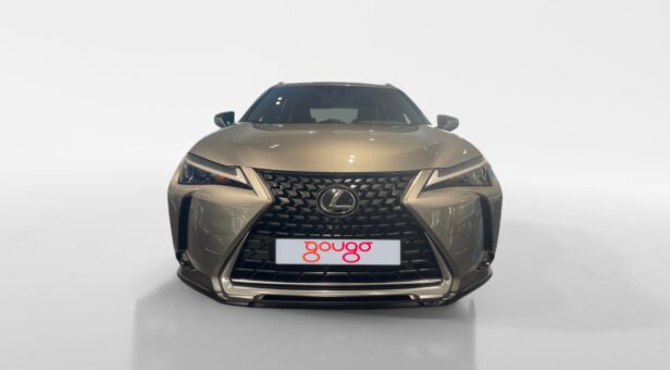 LEXUS UX HIBRIDO UX 250h 2WD BUSINESS