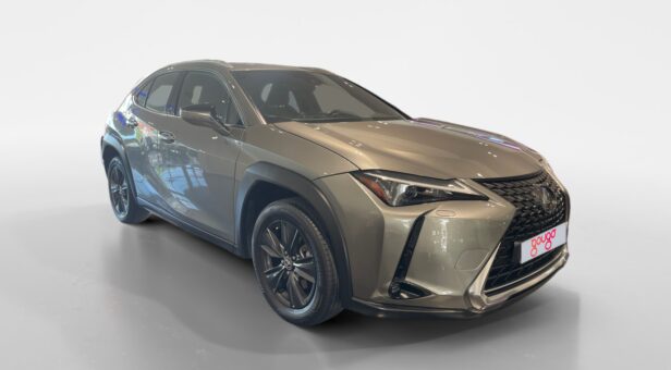 LEXUS UX HIBRIDO UX 250h 2WD BUSINESS