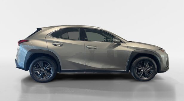 LEXUS UX HIBRIDO UX 250h 2WD BUSINESS