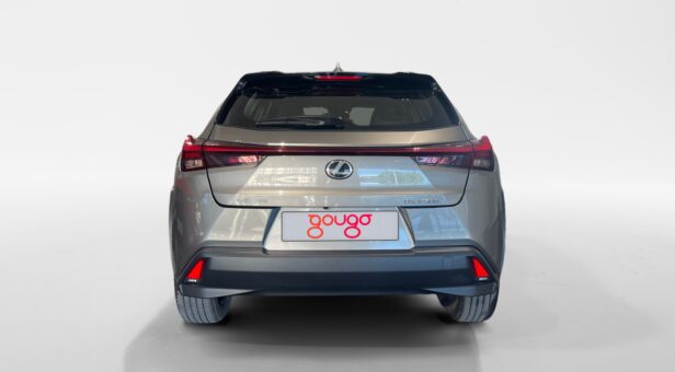 LEXUS UX HIBRIDO UX 250h 2WD BUSINESS