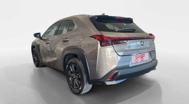 LEXUS UX HIBRIDO UX 250h 2WD BUSINESS