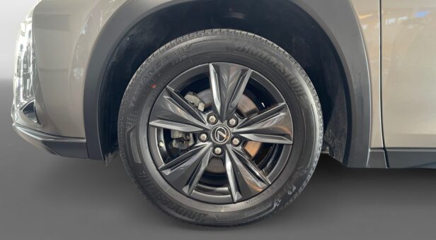 LEXUS UX HIBRIDO UX 250h 2WD BUSINESS