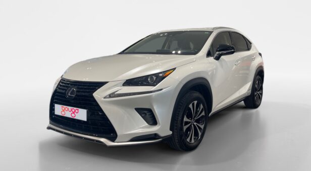 LEXUS NX NX 300h 2WD WG CP Premium