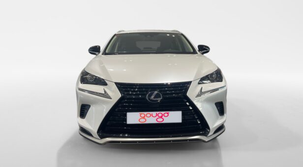 LEXUS NX NX 300h 2WD WG CP Premium