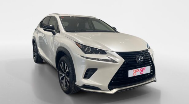 LEXUS NX NX 300h 2WD WG CP Premium