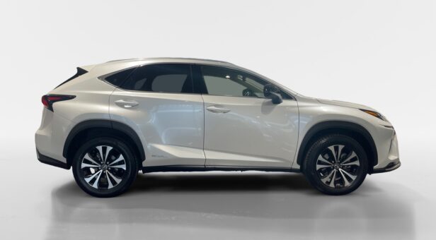 LEXUS NX NX 300h 2WD WG CP Premium