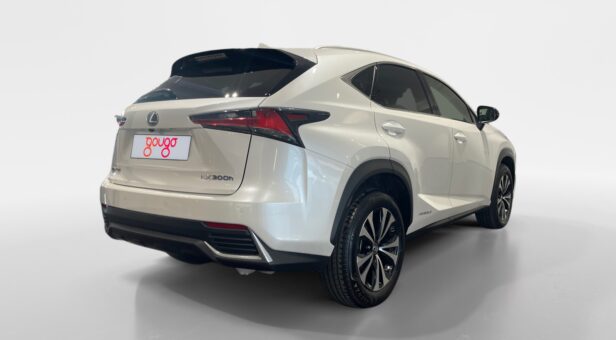 LEXUS NX NX 300h 2WD WG CP Premium