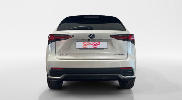 LEXUS NX NX 300h 2WD WG CP Premium