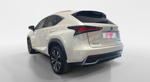 LEXUS NX NX 300h 2WD WG CP Premium