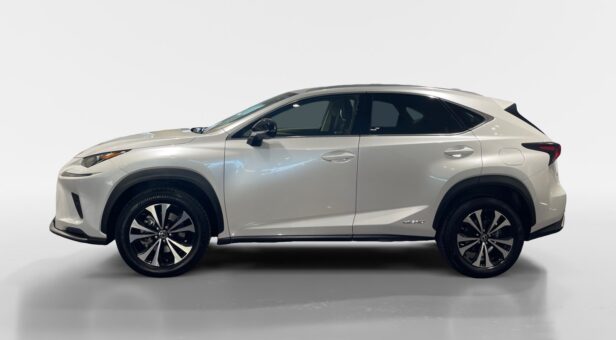 LEXUS NX NX 300h 2WD WG CP Premium
