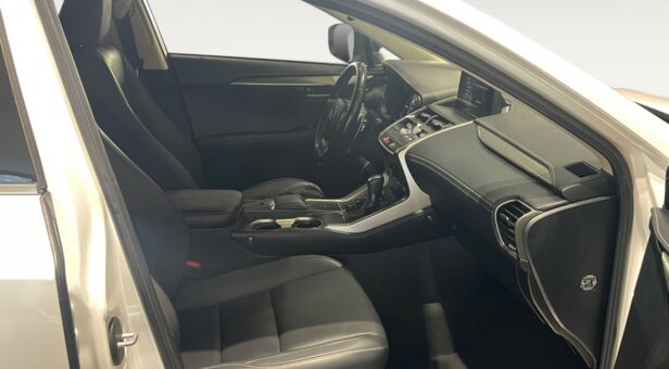 LEXUS NX NX 300h 2WD WG CP Premium