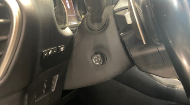 LEXUS NX NX 300h 2WD WG CP Premium