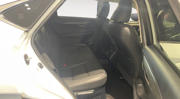 LEXUS NX NX 300h 2WD WG CP Premium