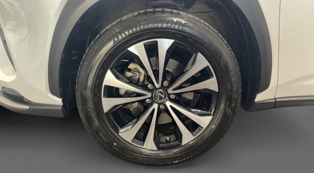 LEXUS NX NX 300h 2WD WG CP Premium