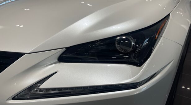 LEXUS NX NX 300h 2WD WG CP Premium