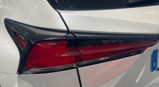 LEXUS NX NX 300h 2WD WG CP Premium