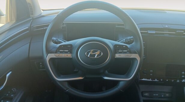 HYUNDAI TUCSON TODOTERRENO 1.6 TGDI MHEV 110KW MAXX 150 5p