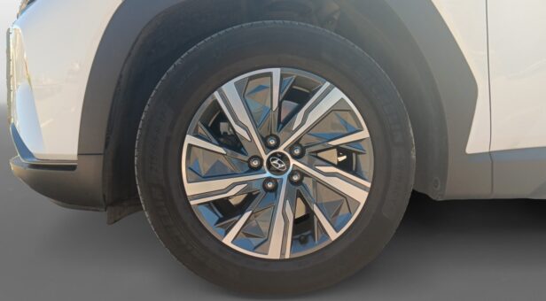 HYUNDAI TUCSON TODOTERRENO 1.6 TGDI MHEV 110KW MAXX 150 5p