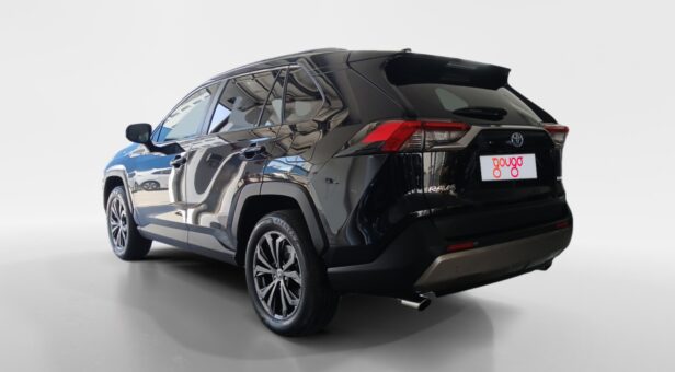 TOYOTA RAV4 TODOTERRENO 2.5 VVT-I 160KW ADVANCE PLUS AUTO 218 5p TOYOTA RAV4 TODOTERRENO 2.5 VVT-I 160KW ADVANCE PLUS AUTO 218 5p