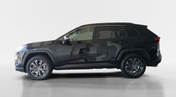 TOYOTA RAV4 TODOTERRENO 2.5 VVT-I 160KW ADVANCE PLUS AUTO 218 5p TOYOTA RAV4 TODOTERRENO 2.5 VVT-I 160KW ADVANCE PLUS AUTO 218 5p