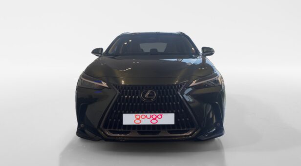LEXUS NX NX 350h 2WD EXECUTIVE