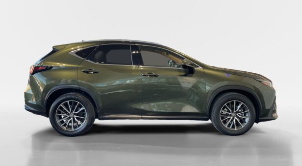 LEXUS NX NX 350h 2WD EXECUTIVE
