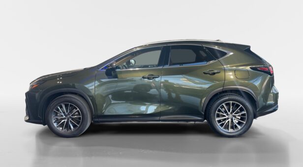 LEXUS NX NX 350h 2WD EXECUTIVE