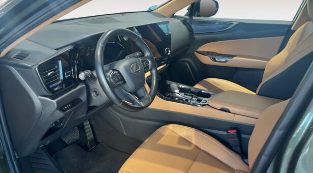 LEXUS NX NX 350h 2WD EXECUTIVE