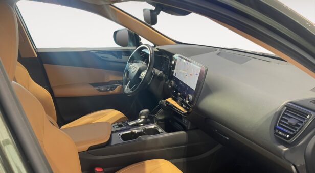 LEXUS NX NX 350h 2WD EXECUTIVE